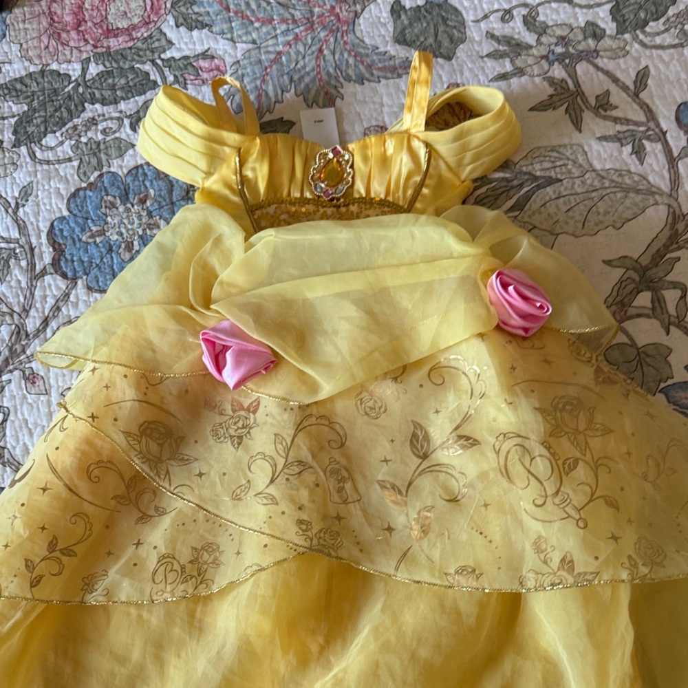Disney Yellow Dress with White Trim